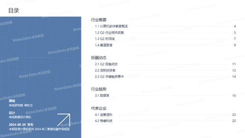 計(jì)算機(jī)軟件2024年二季度投融市場報(bào)告 網(wǎng)絡(luò)科技引領(lǐng)復(fù)蘇，資本聚焦五大細(xì)分賽道
